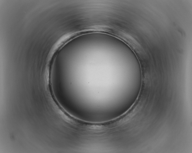 X0000112361180200908131449