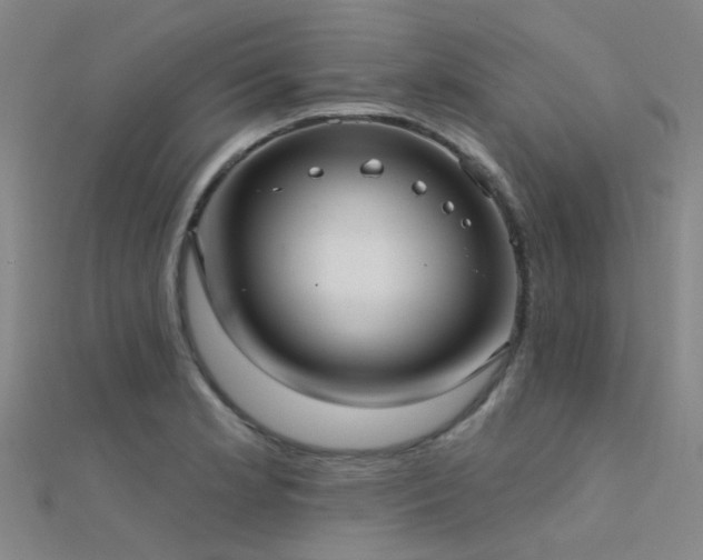 X0000112361181200908131449