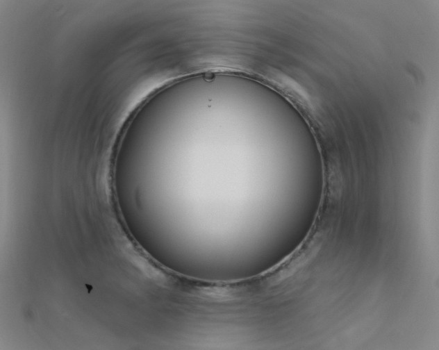 X0000112361182200908131449