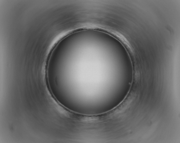 X0000112361183200908131449