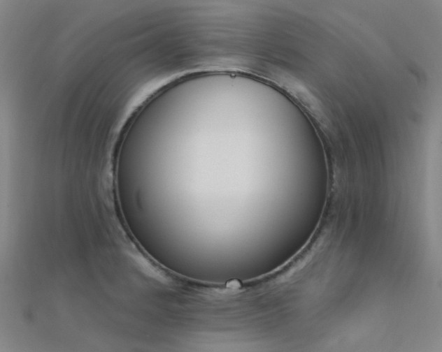 X0000112361184200908131449
