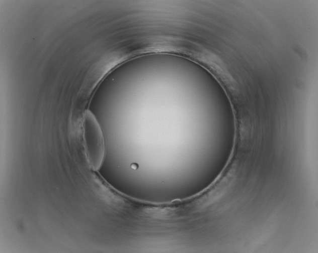 X0000112361185200908131449