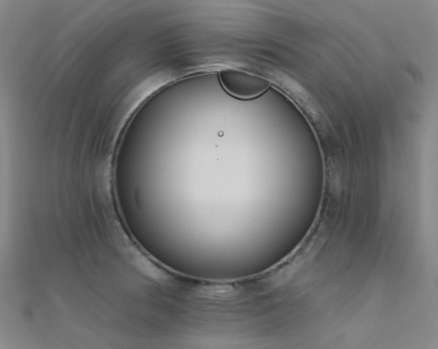 X0000112361186200908131449