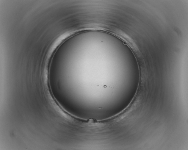 X0000112361188200908131449