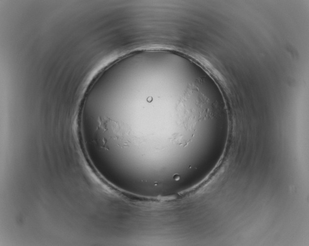 X0000112361189200908131449