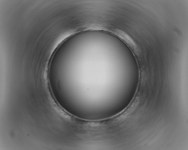 X0000112361190200908131449