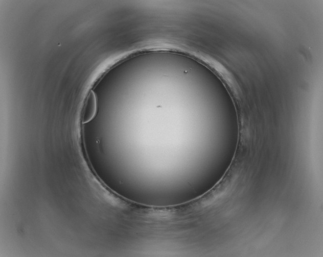 X0000112361191200908131449