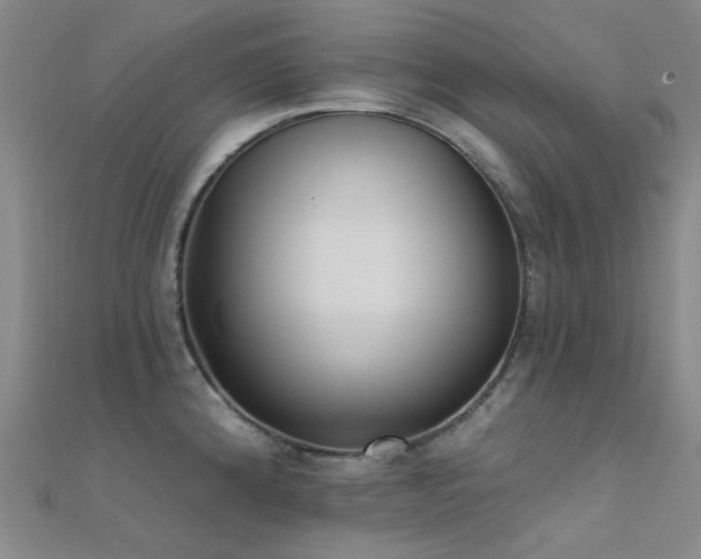 X0000112361192200908131449