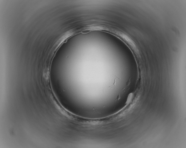 X0000112361193200908131449