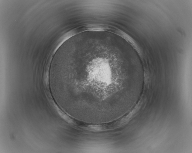 X0000112361194200908131449