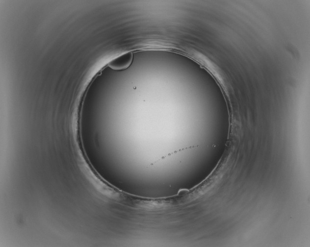 X0000112361195200908131449