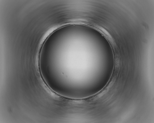 X0000112361196200908131449