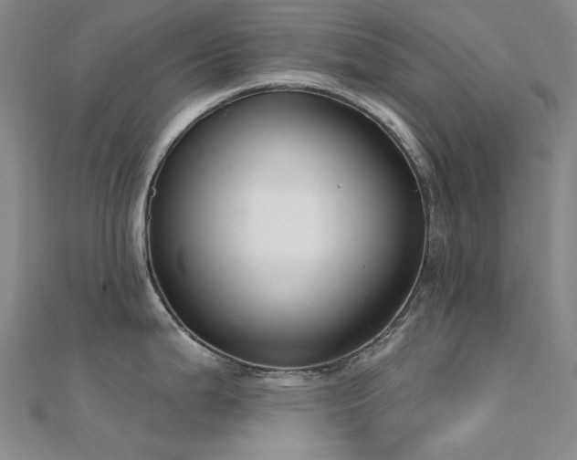X0000112361199200908131449