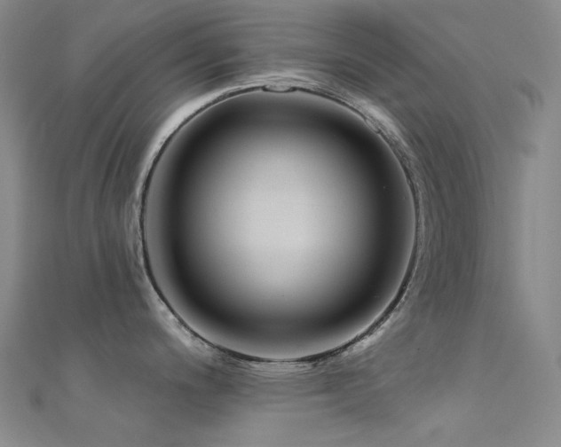 X0000112361200200908131449