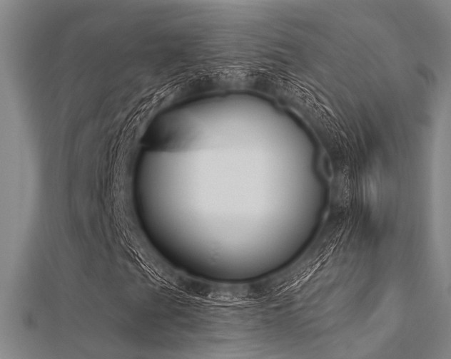 X0000112361201200908131448