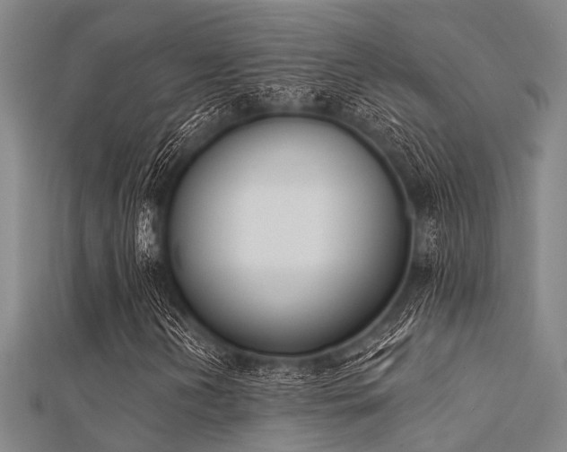 X0000112361202200908131448