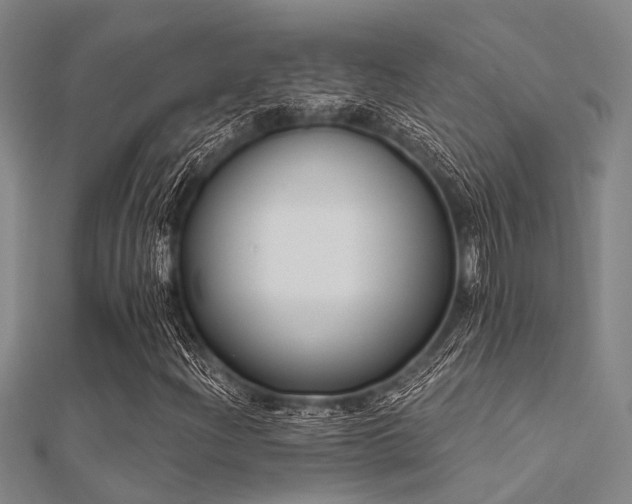 X0000112361204200908131448