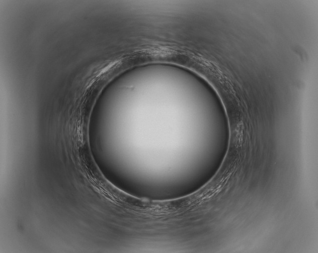 X0000112361205200908131448