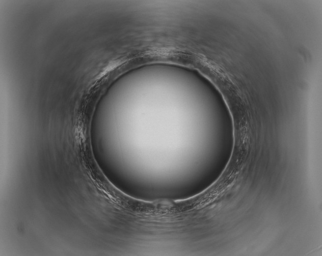 X0000112361206200908131448