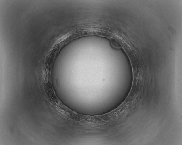 X0000112361207200908131448
