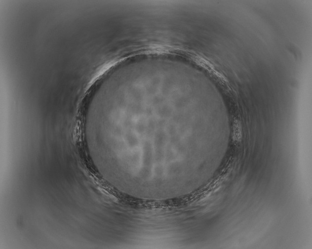 X0000112361208200908131448