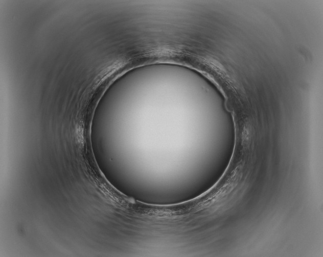 X0000112361209200908131448
