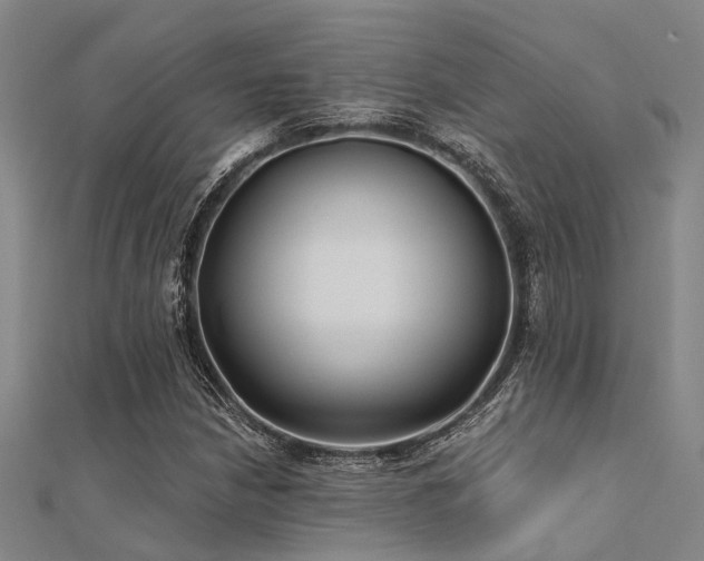 X0000112361210200908131448