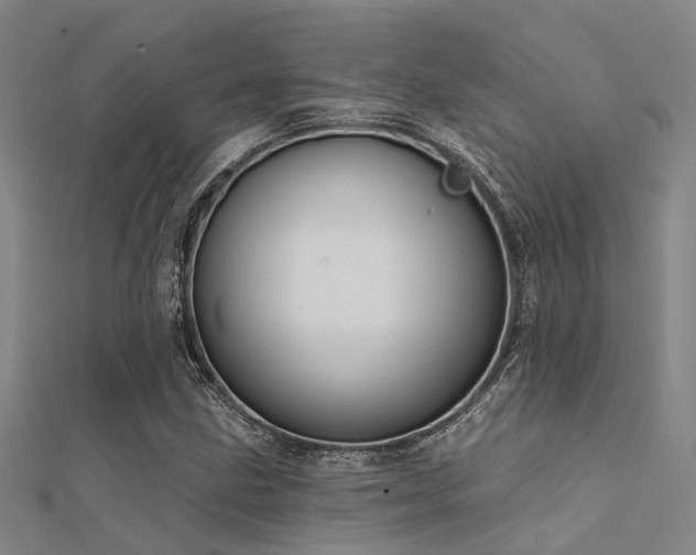 X0000112361211200908131448