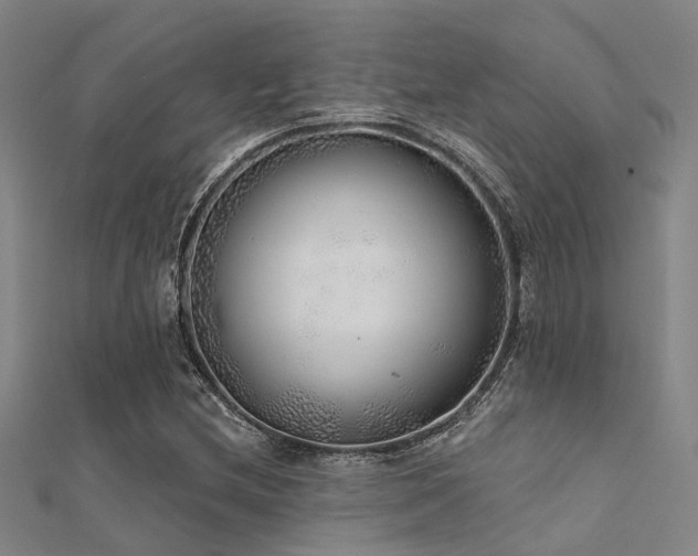 X0000112361212200908131448