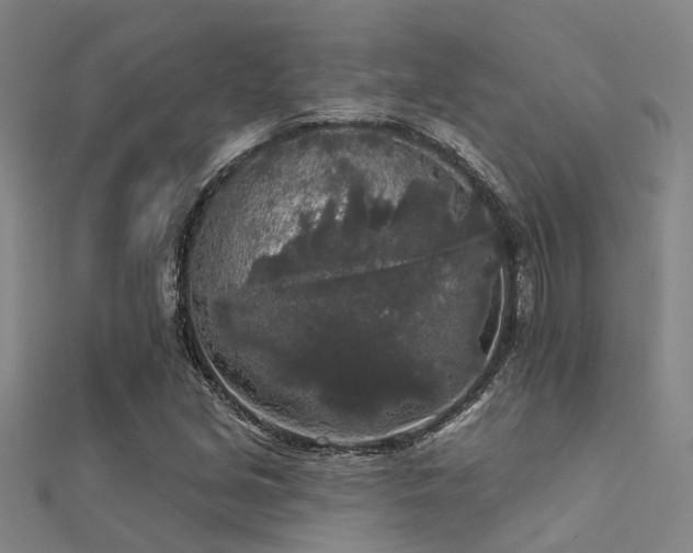 X0000112361213200908131448