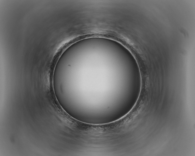 X0000112361214200908131448