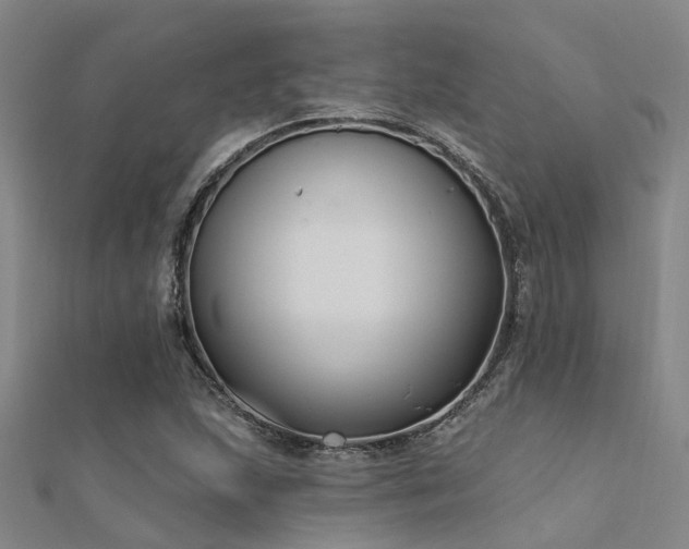 X0000112361215200908131448