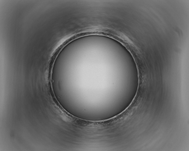 X0000112361216200908131448