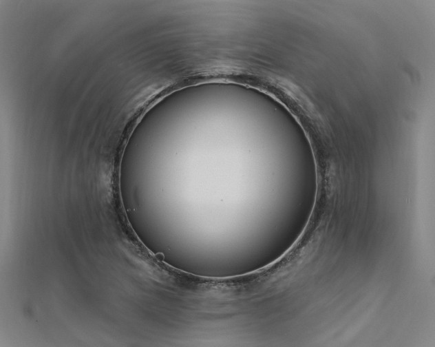 X0000112361217200908131448