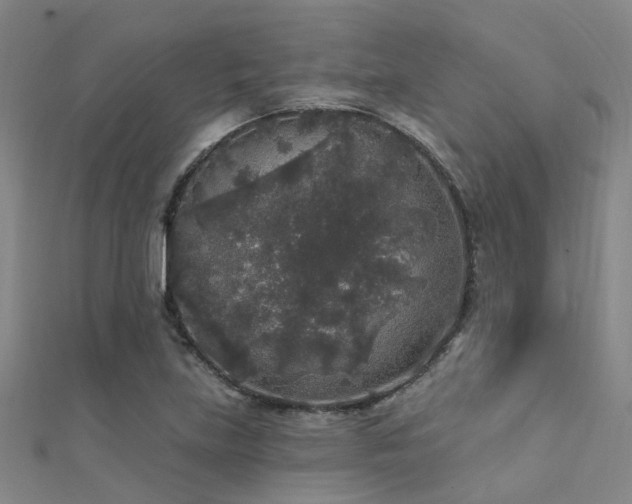 X0000112361219200908131448