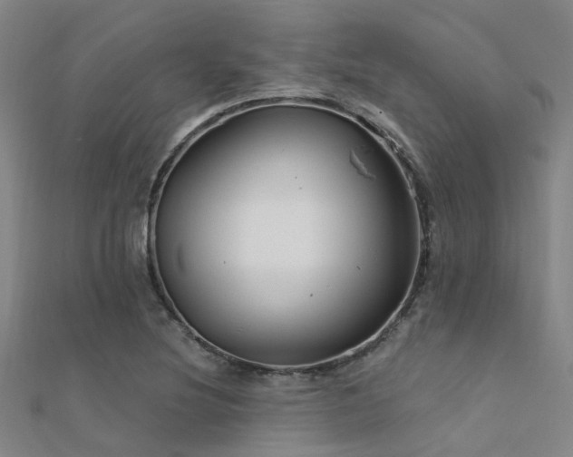 X0000112361220200908131448