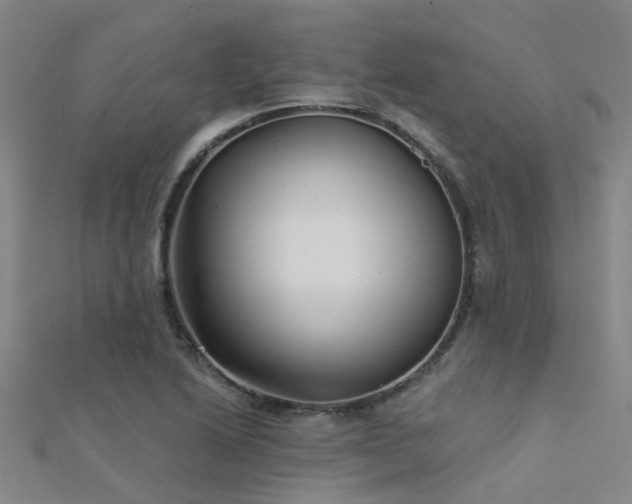 X0000112361222200908131448