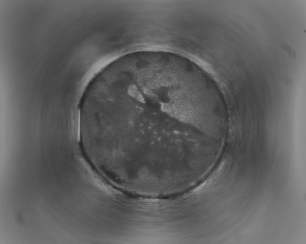 X0000112361223200908131448