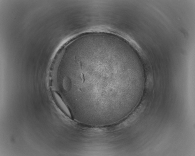 X0000112361224200908131448