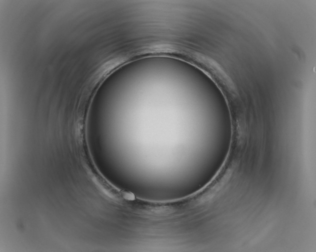 X0000112361225200908131448