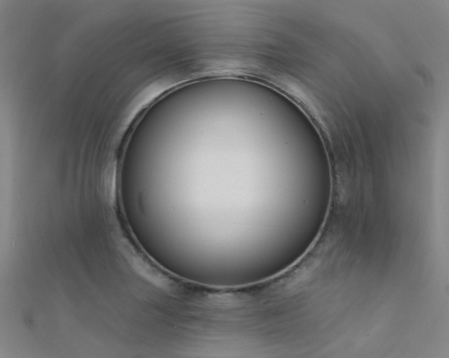 X0000112361227200908131448