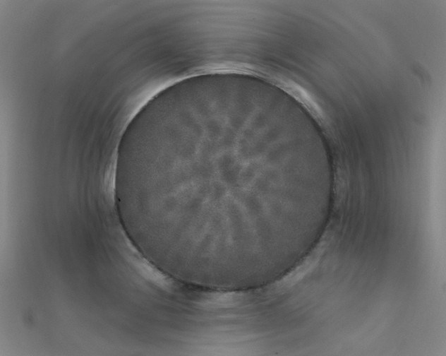 X0000112361228200908131448