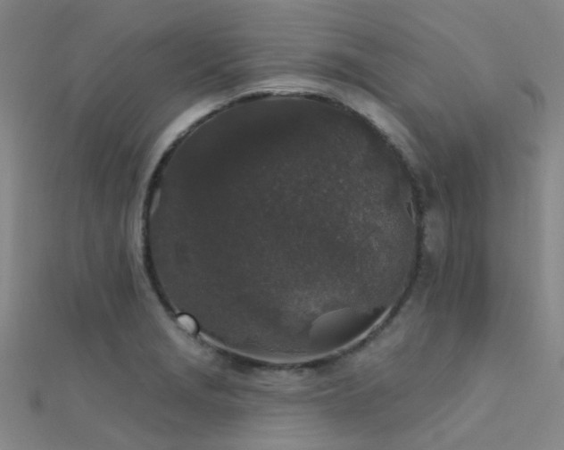 X0000112361229200908131448
