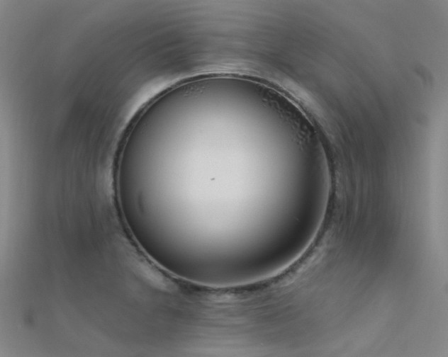 X0000112361230200908131448