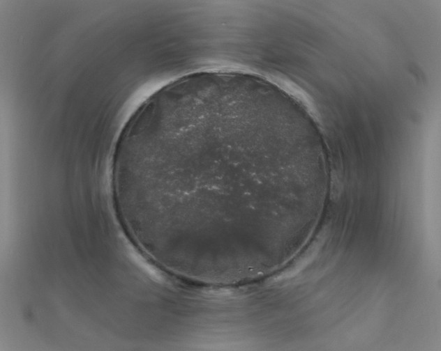 X0000112361231200908131448