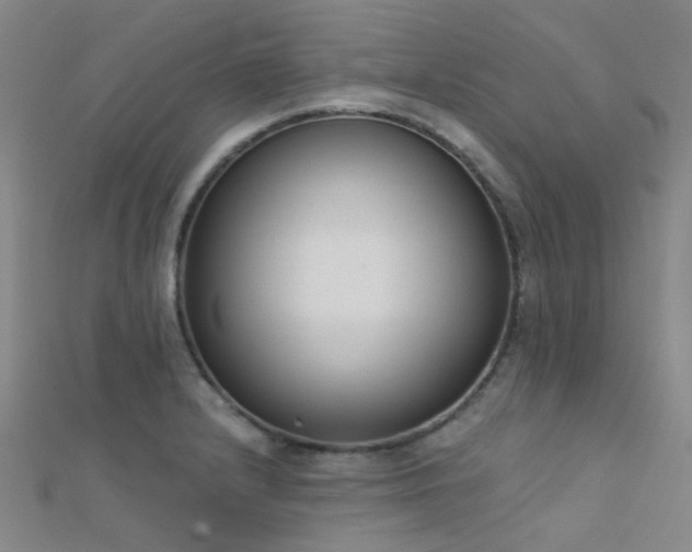 X0000112361232200908131448