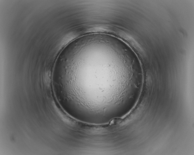 X0000112361233200908131448