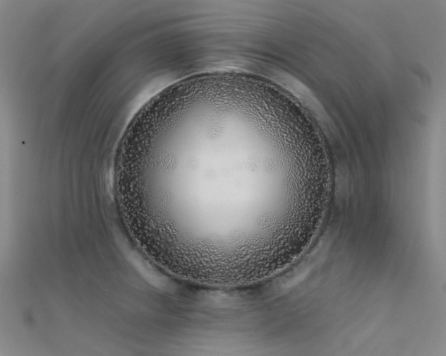 X0000112361234200908131448