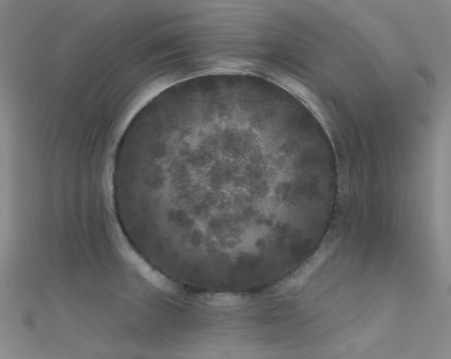 X0000112361235200908131448