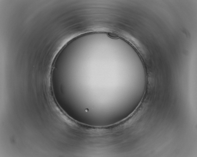 X0000112361236200908131448